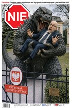 NIE 43/2026